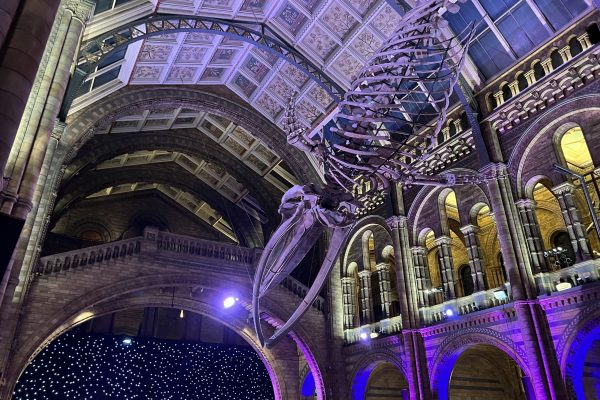 Under the Sea Dell Million Makers Gala Dinner Dell Technologies Million Makers Under the Sea Gala Dinner for The Prince's Trust