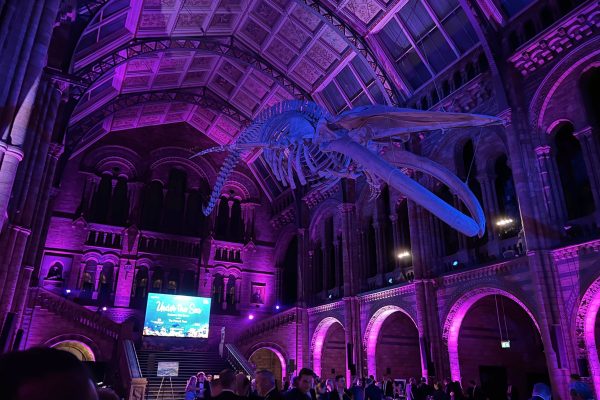 Under the Sea Dell Million Makers Gala Dinner Dell Technologies Million Makers Under the Sea Gala Dinner for The Prince's Trust